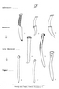 Evolution of bronze knives, from the Karasuk culture to the Tagar culture