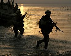 Members of the 13th Marine Expeditionary Unit, enter the reeds on the edge of Lake Tharthar in Iraq to conduct cordon and search operations July 15, 2007.