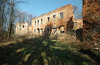 Ruins of the Palace in Głębowice