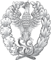 Seit 2016 von der Militärakademie Warschau genutztes Emblem