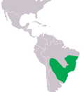 Verbreitungsgebiet des Breitschnauzenkaimans