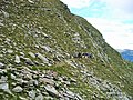 Sentiero Alpino Calanca - Westgrat der Cima del Nomnom