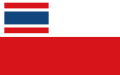 Vorschlag der Abgeord­neten von 1920 (die tschech­ische, die amerikan­ische und die slowak­ische Flagge).