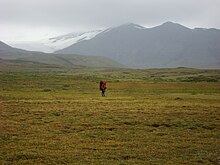 Flat grass-covered terrane with a rugged, glaciated mountain in the background.