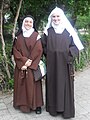 The religious habit of the Carmelite Order is brown and includes the Scapular of Our Lady of Mount Carmel (also known as Brown Scapular)