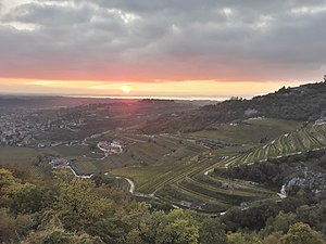 Vineyards in Valpolicella
