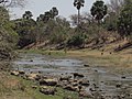 Pendjari river within the national park in dry season: right Burkina Faso, left Benin