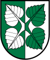 Lindenblätter, ebenfalls verwechselt (Utzenstorf/CH)