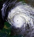Hurricane Allen in the Yucatán Channel 7 August 1980