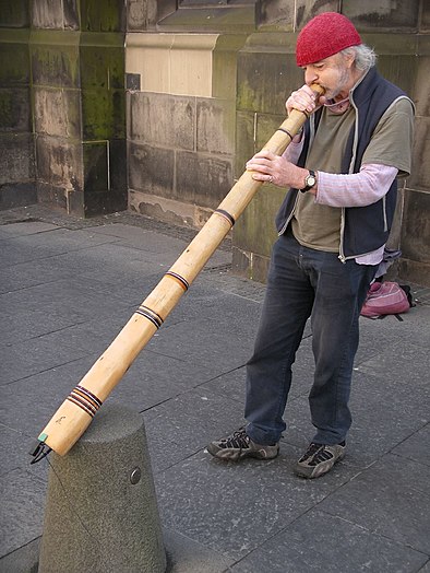 Some sort of horn player, 2007