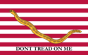The First Navy Jack