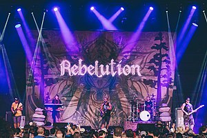 Rebelution performing live at Cali Roots in 2014