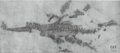 Holotype of S. guilelmiimperatoris in 1895[1]