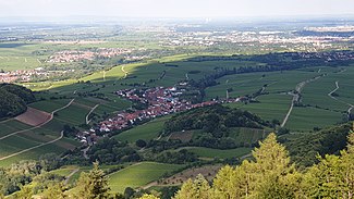 Ranschbach – Blick vom Föhrlenberg