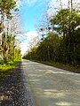 State Road 94 in Big Cypress