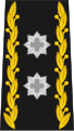 Divisionär (French: Divisionnaire) (Swiss Army)[27]