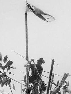 A soldier in a slouch hat raises a flag on a makeshift flag pole