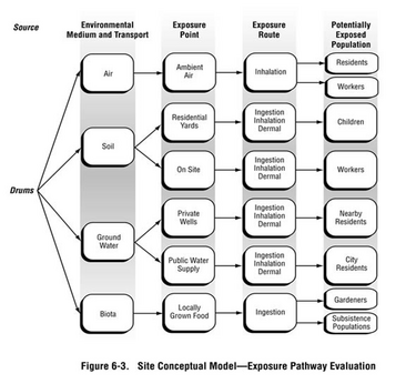 Illustration of a site conceptual model for environmental exposure. Illustrates a hazard source, environmental fate and transport, exposure point, exposure route, and potentially exposed populations.