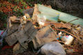 erotischer Müllhaufen im Sage-Wald bei Römerswil