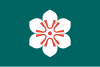 Flag of Saga Prefecture