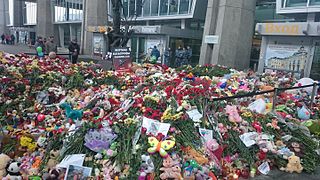 Flowers and children's toys at the Pulkovo Airport entrance. The sign at the back says "To the victims of A321 plane crash".