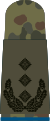 Oberst (Logistics troops)