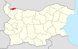 Lom Municipality within Bulgaria and Montana Province.