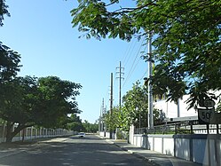 A stretch of PR-500 heading south in Barrio Canas