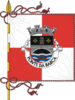 Flag of Ponte da Barca