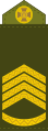 Головний сержант Holovnyi serzhant (Ukrainian Ground Forces)[17]