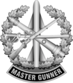 Master Gunner Identification Badge