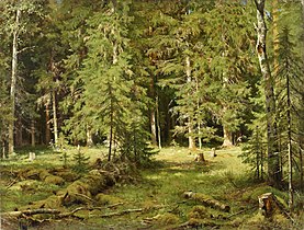 Forest, 1895