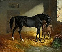 Mare and Her Foal in the Barn