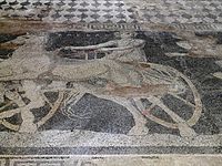 Central panel of the Abduction of Helen of Troy by Theseus, floor mosaic, detail of the charioteer, from the House of the Abduction of Helen, (c. 300 BC), ancient Pella