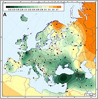 Ancient European Neolithic farmers are genetically closest to modern Near-Eastern/ Anatolian populations: genetic matrilineal distances between European Neolithic Linear Pottery culture populations (5,500–4,900 calibrated BC) and modern Western Eurasian populations.[12]