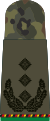 Oberst a.D. (Mech. infantry ret.)