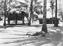 Two grass huts and some palm trees. One dead Japanese soldier lies at the base of a palm tree.