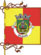 Flagge des Concelhos Nazaré