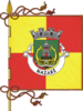 Flag of Nazaré