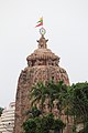 Sakhigopal temple