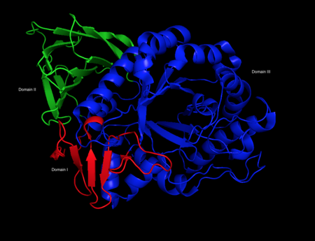 Three-dimensional PyMol rendering of glucocerebrosidase with three domains highlighted.