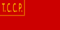 Flag of the Turkestan ASSR (1918–1924)[note 9]