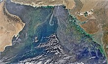 Phytoplankton bloom over the Arabian Sea
