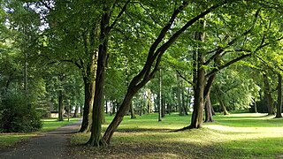 Park in Wojnicz