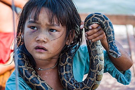 A little girl making money for her family by posing with a snake in a water village of Tonle Sap Lake