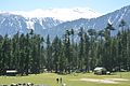 Pine forests occur in Swat at elevations over 1,500 m (5,000 ft)