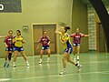 VÍF is the sports club from Vestmanna. Here they play handball in yellow and blue.