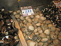Venusmuscheln auf dem Fischmarkt