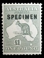 Australia, 1924: Specimen overprint
