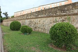 Curtain wall of the defensive wall where the Pajaritos Gate used to be